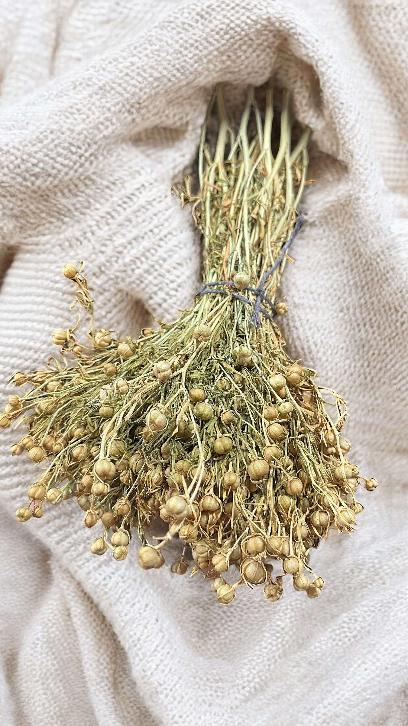 Photoroom_000_20260101_224314