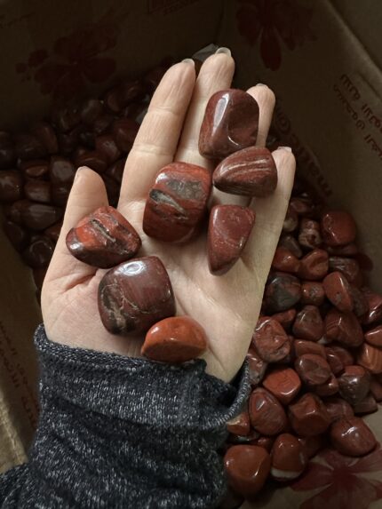 Jasper Tımbıl ( jumbo )